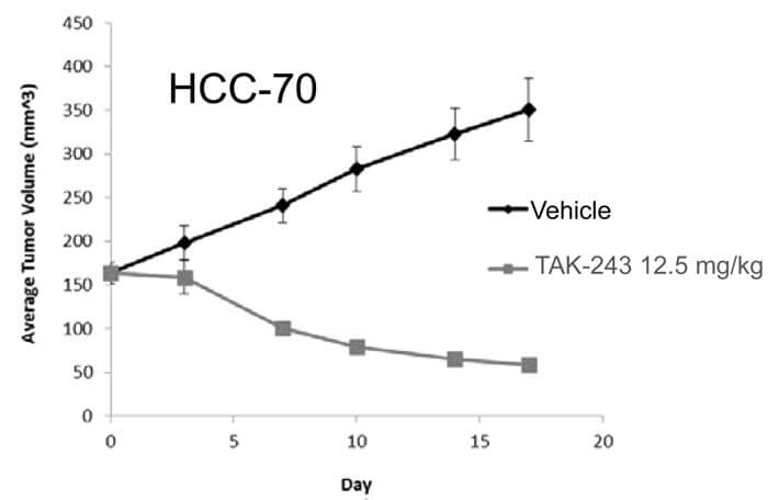 TAK-243对HCC-70的成长抑造曲线.jpg