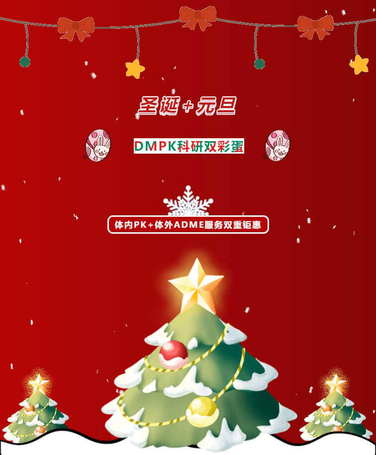 圣诞和元旦双节欢乐.jpg