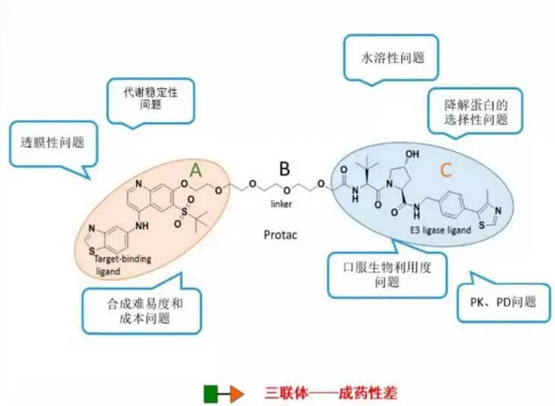 PROTAC分子量较大，溶化性较差.jpg