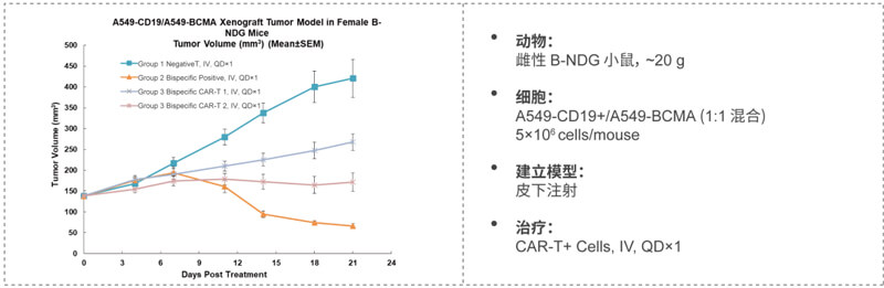 CAR-T细胞杀伤尝试显示CAR-T细胞依赖性杀伤较Mock-T细胞增长.jpg