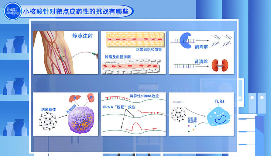 幼核酸针对靶点成药性的挑战有哪些？