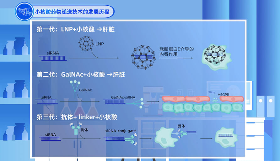 幼核酸药物递送技术的发展过程