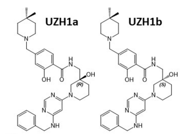钻研人员汇报了一种拥有细胞渗入性的选择性METTL3纳摩尔抑造剂UZH1a，作者感激JDB电子合成了UZH1a和UZH1b