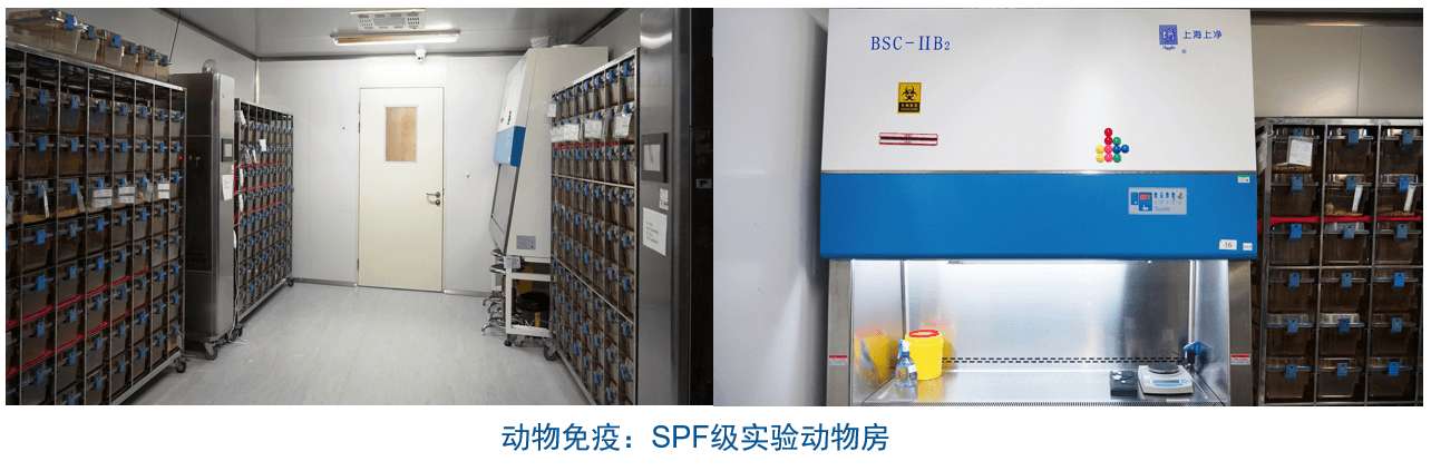 JDB电子杂交瘤技术平台设备-动物免疫SPF级尝试动物房