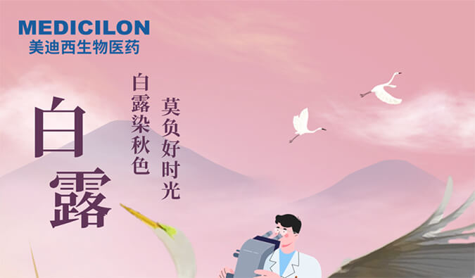 白露 | 白露染秋色，莫负好时光