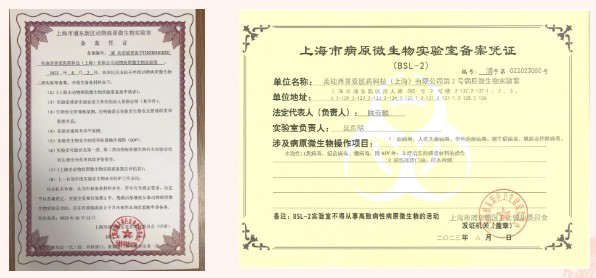 ABSL-2尝试室.jpg