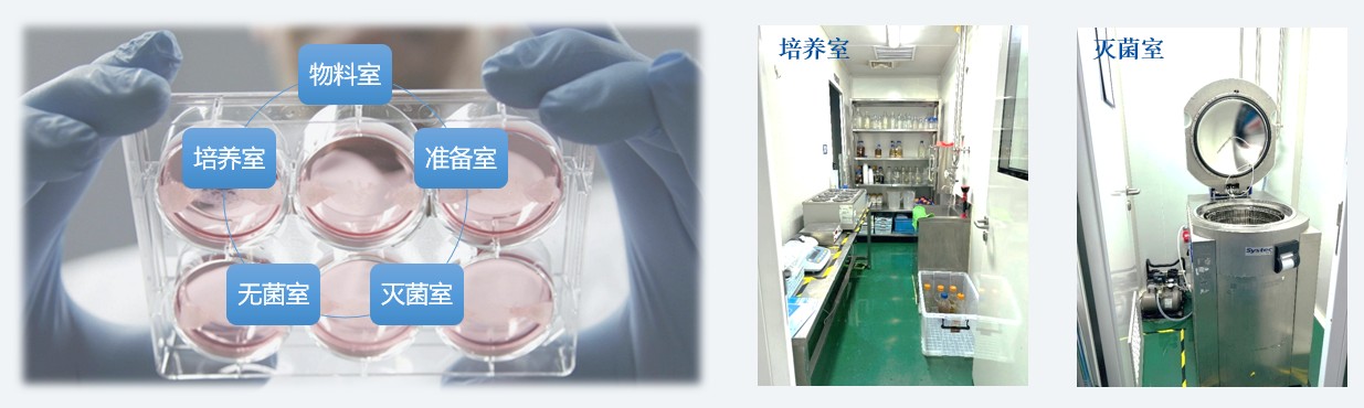 微生物尝试室-造就室和灭菌室.jpg