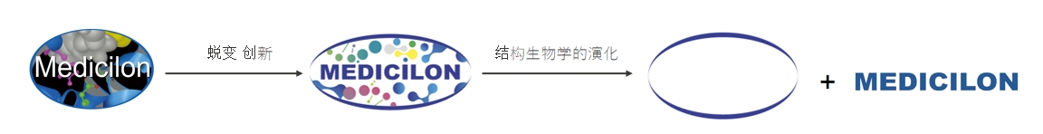 椭圆形作为天然界的美满状态，象征着JDB电子在适应环境变动中不休演化
