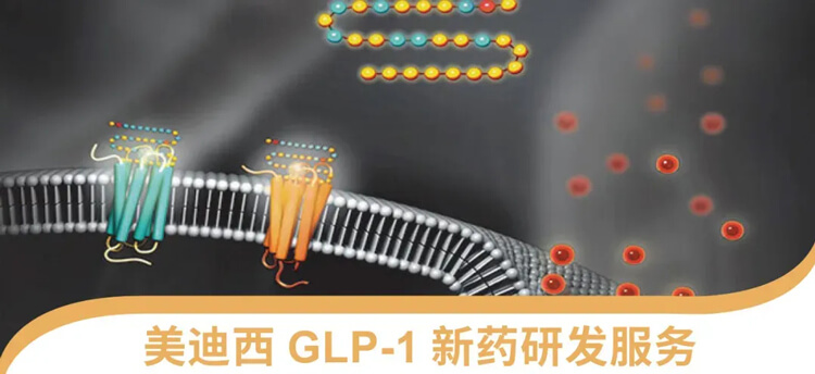 JDB电子GLP-1新药研发服务平台.jpg