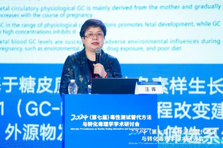武汉大学汪晖教授作汇报.jpg
