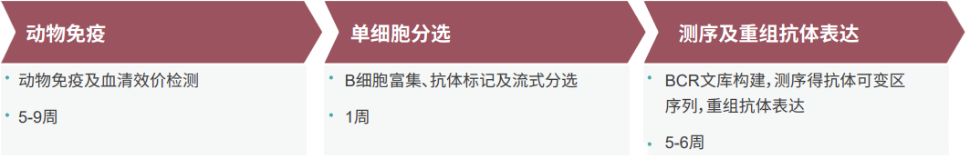 JDB电子单B细胞抗体发显旖台