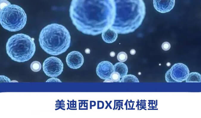 JDB电子118种PDX原位模型，助力肿瘤药物研发