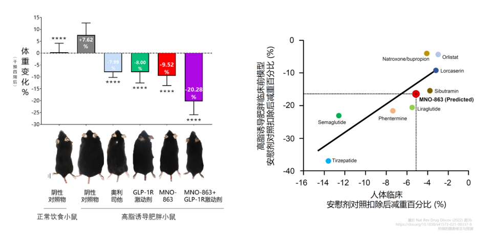4周降低近10%体沉！JDB电子助力慕恩生物MNO-863活菌生物药获批临床