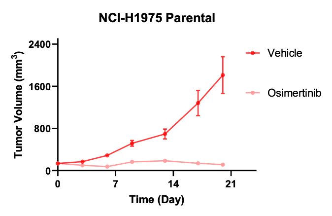 NCI-H1975奥希替尼耐药NSCLC模型-体内药效筛选-1.png